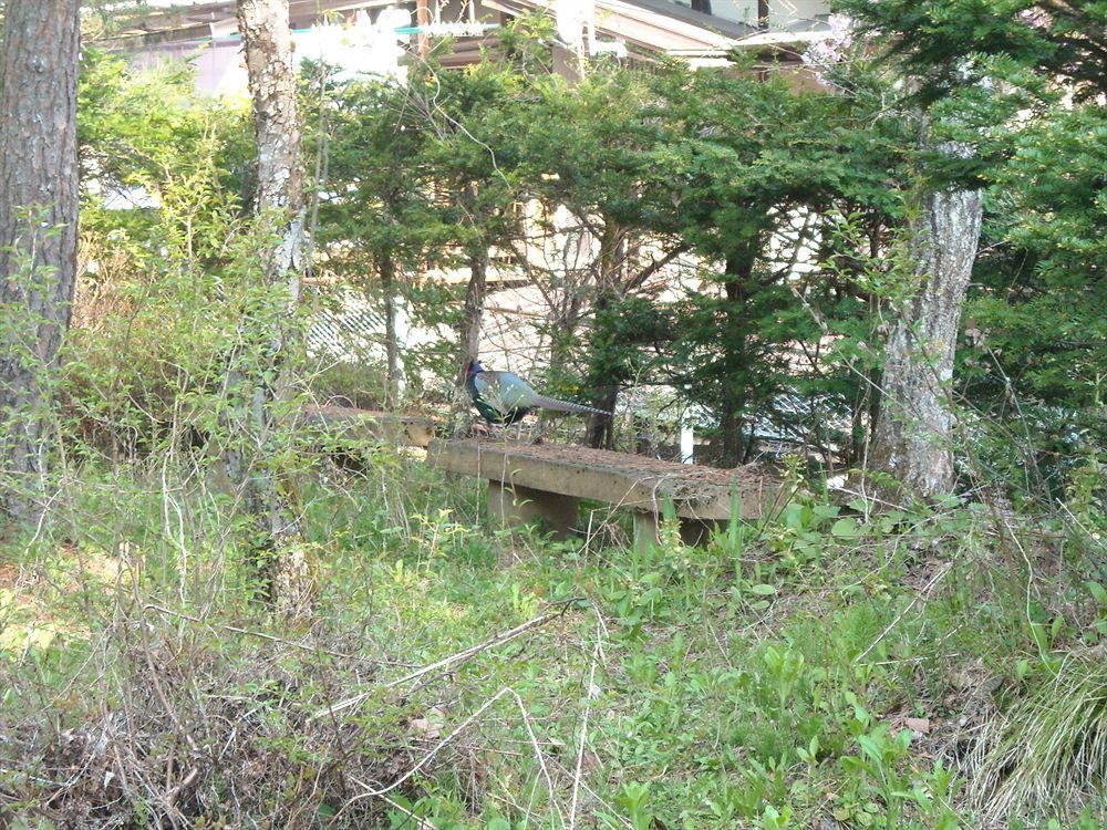 Hida Gasshoen Takayama  Luaran gambar